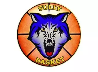 Sully Basket